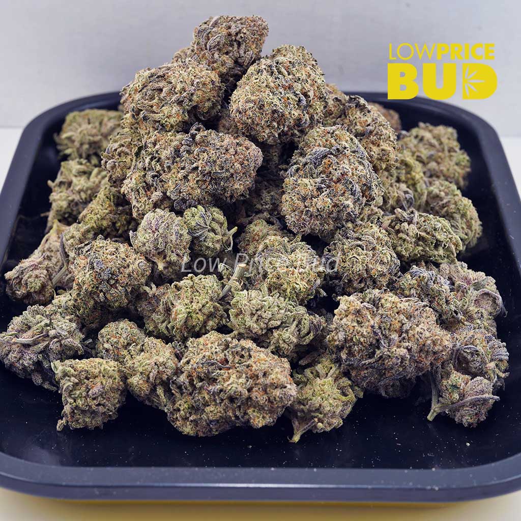 Sour Skunk (AAA) Buy Sour Skunk (AAA) online Canada