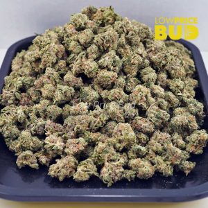 Buy Kings Candy (AAAA) – Popcorn Nugs online Canada