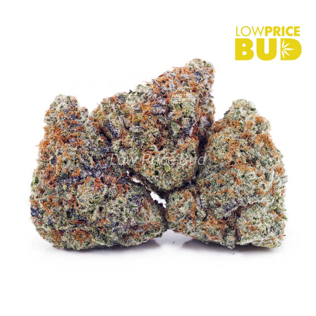 Grape Stomper (AAA) Buy Grape Stomper (AAA) online Canada