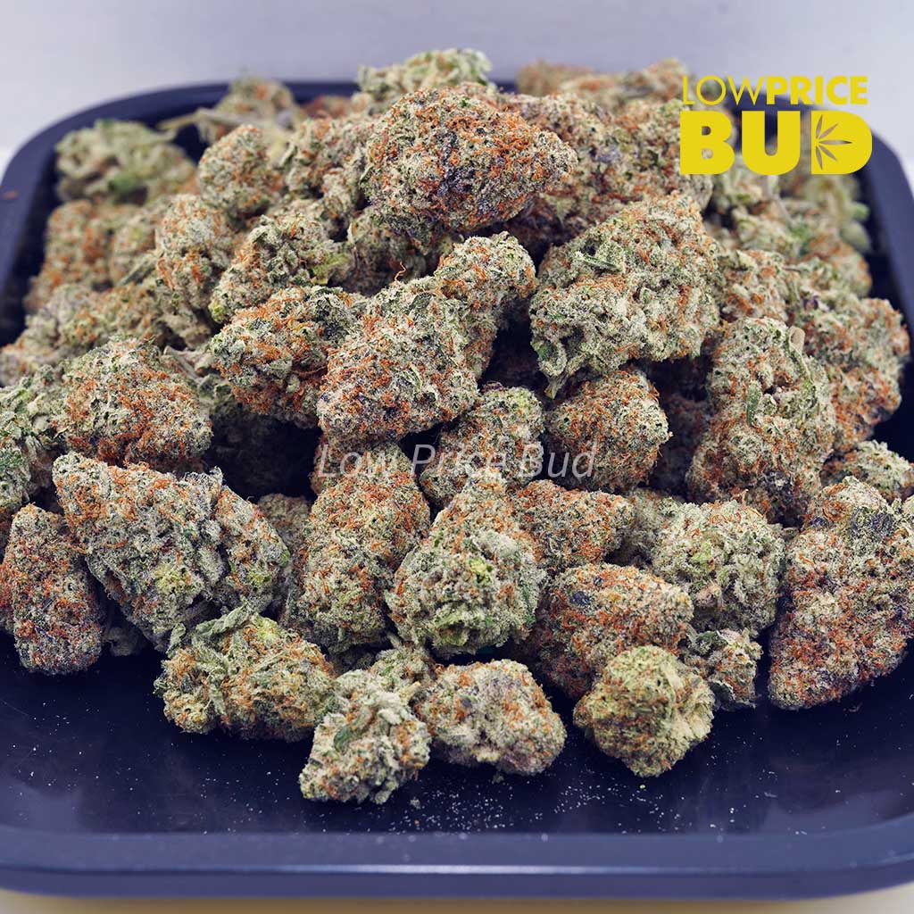 Grape Stomper (AAA) Buy Grape Stomper (AAA) online Canada
