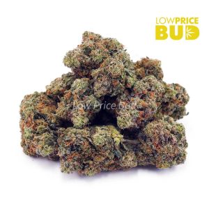 Nuken (AA) Buy Nuken (AA) online Canada