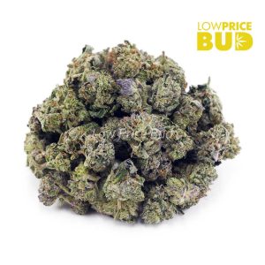 Buy Truffle Butter (AAAA) – Popcorn Nugs online Canada