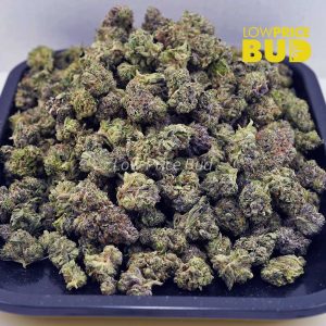 Truffle Butter (AAAA) – Popcorn Nugs Buy Truffle Butter (AAAA) – Popcorn Nugs online Canada