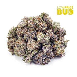 Buy Alien Candy (AAAA) – Popcorn Nugs online Canada