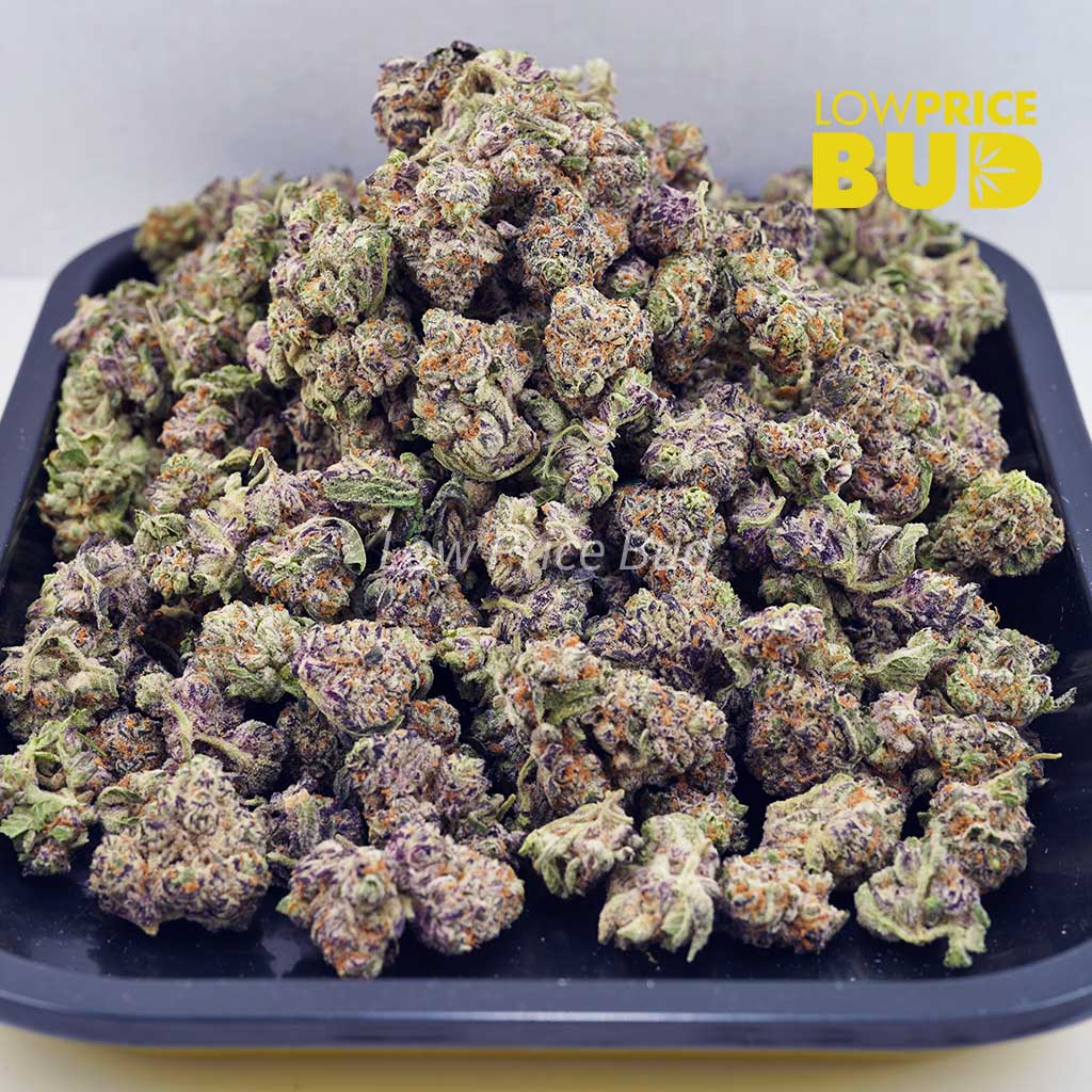 Alien Candy (AAAA) – Popcorn Nugs Buy Alien Candy (AAAA) – Popcorn Nugs online Canada