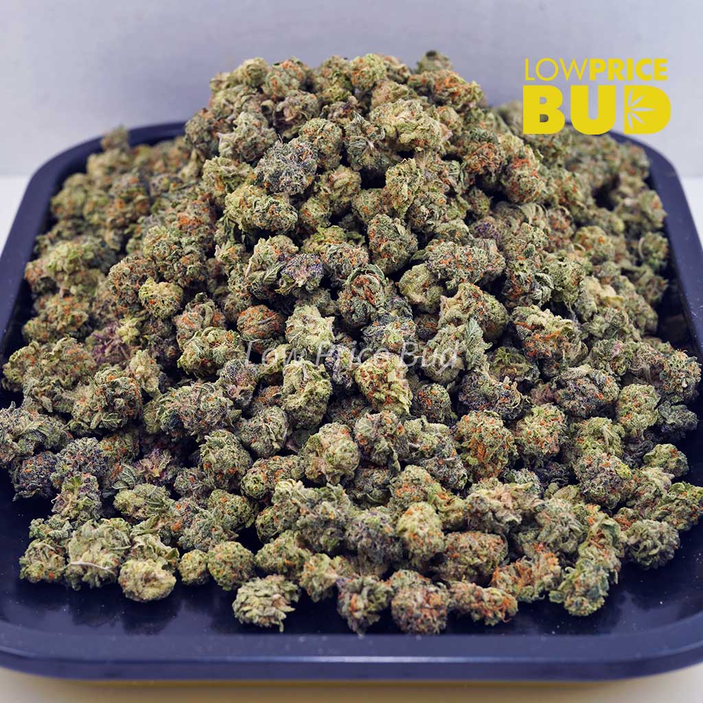 Blackberry Haze (AAAA) – Popcorn Nugs Buy Blackberry Haze (AAAA) – Popcorn Nugs online Canada