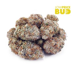 Buy Khalifa Cookies (AAA) online Canada