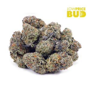 Hawaiian Ice (AAAA) Buy Hawaiian Ice (AAAA) online Canada