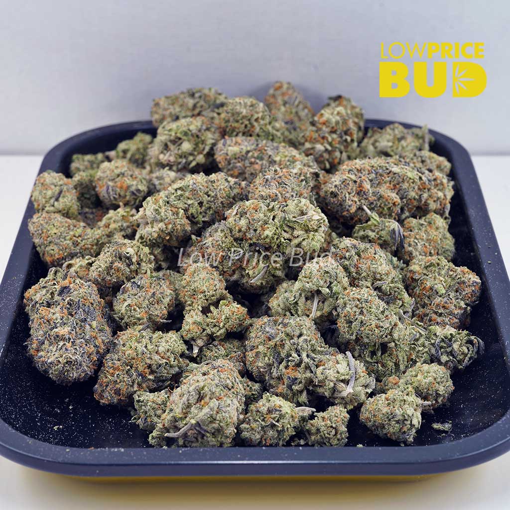 Hawaiian Ice (AAAA) Buy Hawaiian Ice (AAAA) online Canada