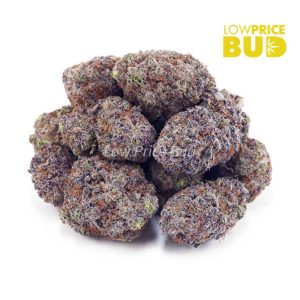 Mendocino Purps (AAA) Buy Mendocino Purps (AAA) online Canada