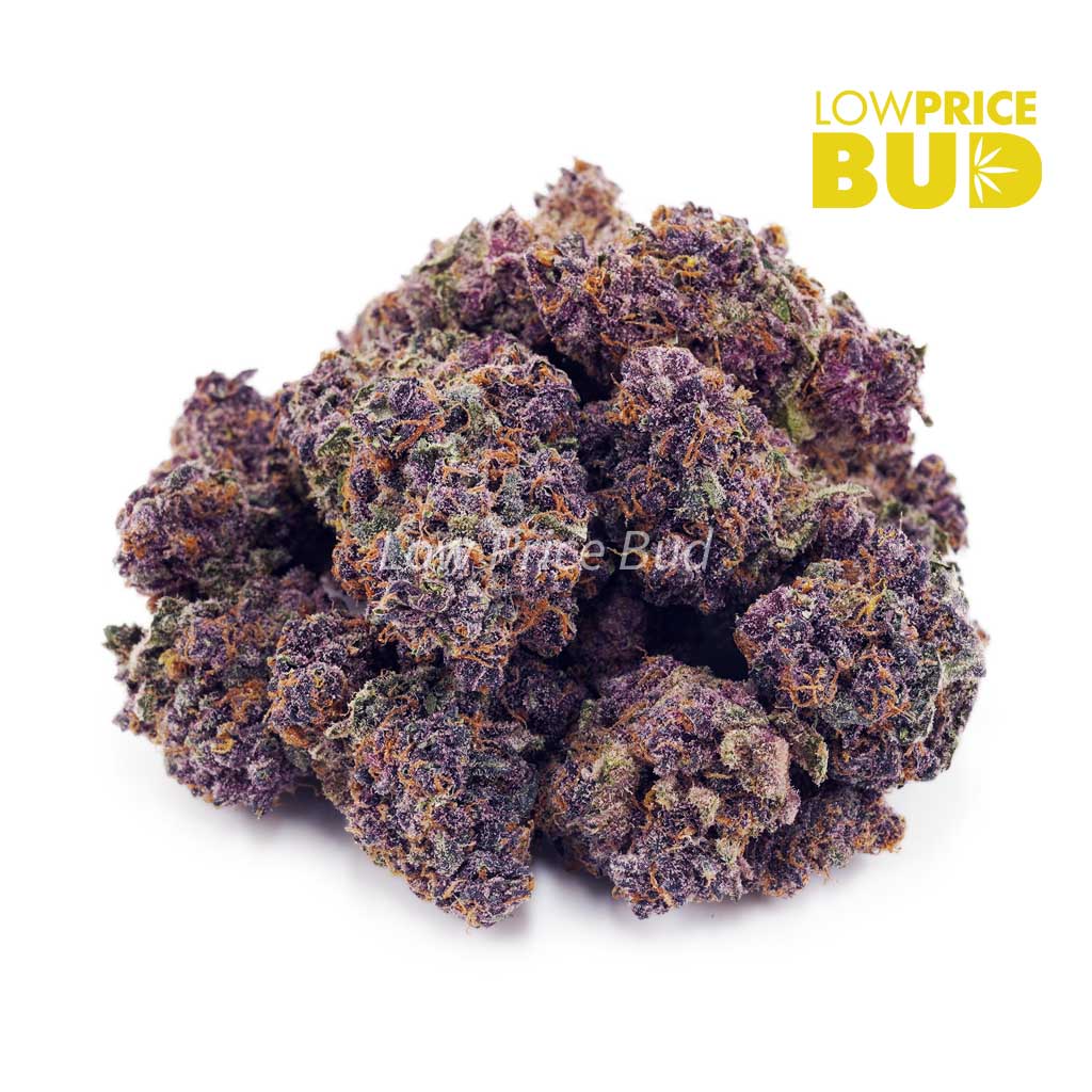 Orange Crush (AAA) Buy Orange Crush (AAA) online Canada