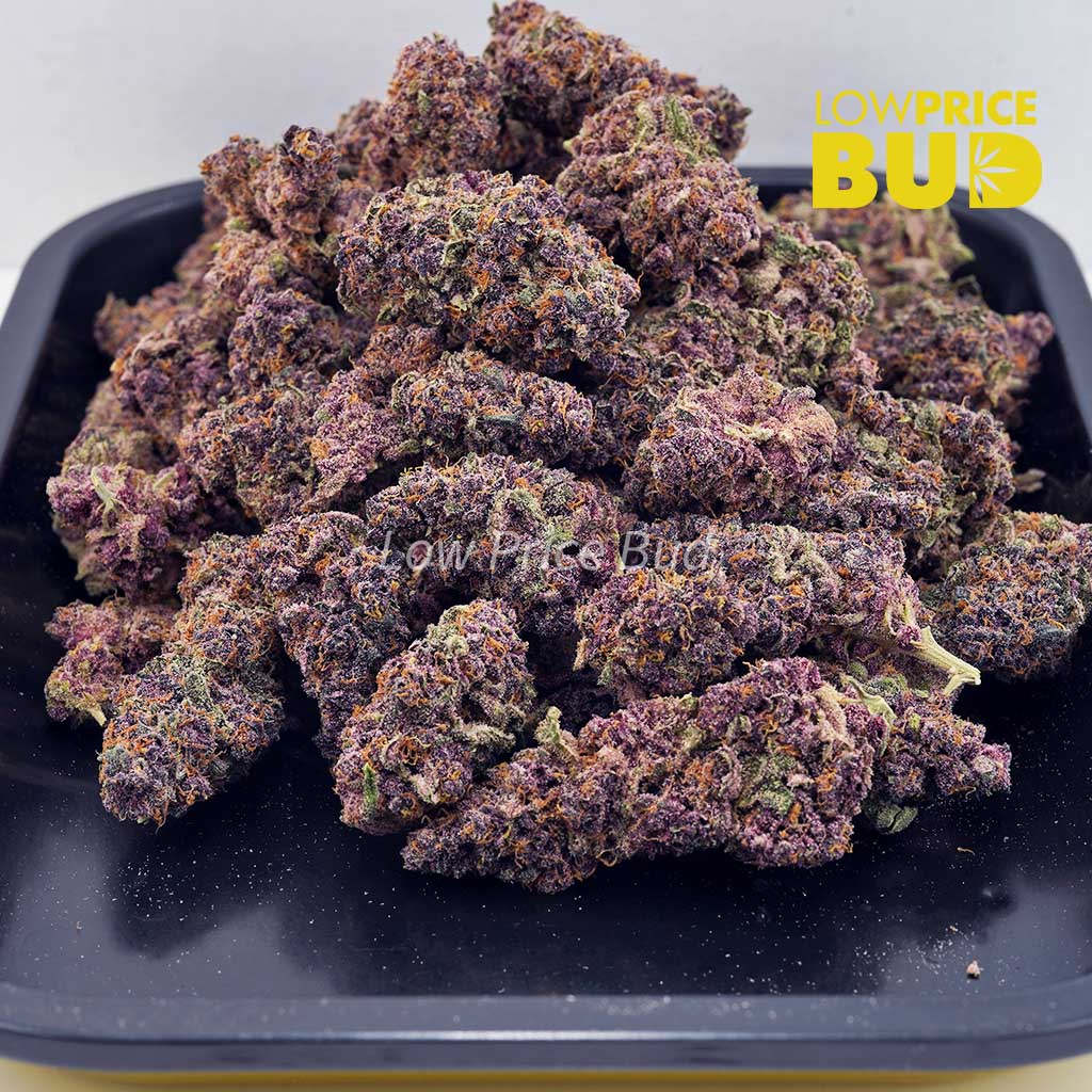 Orange Crush (AAA) Buy Orange Crush (AAA) online Canada