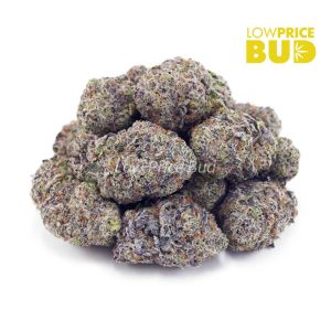 Super Orange Creamsicle (Craft Cannabis) Buy Super Orange Creamsicle (Craft Cannabis) online Canada