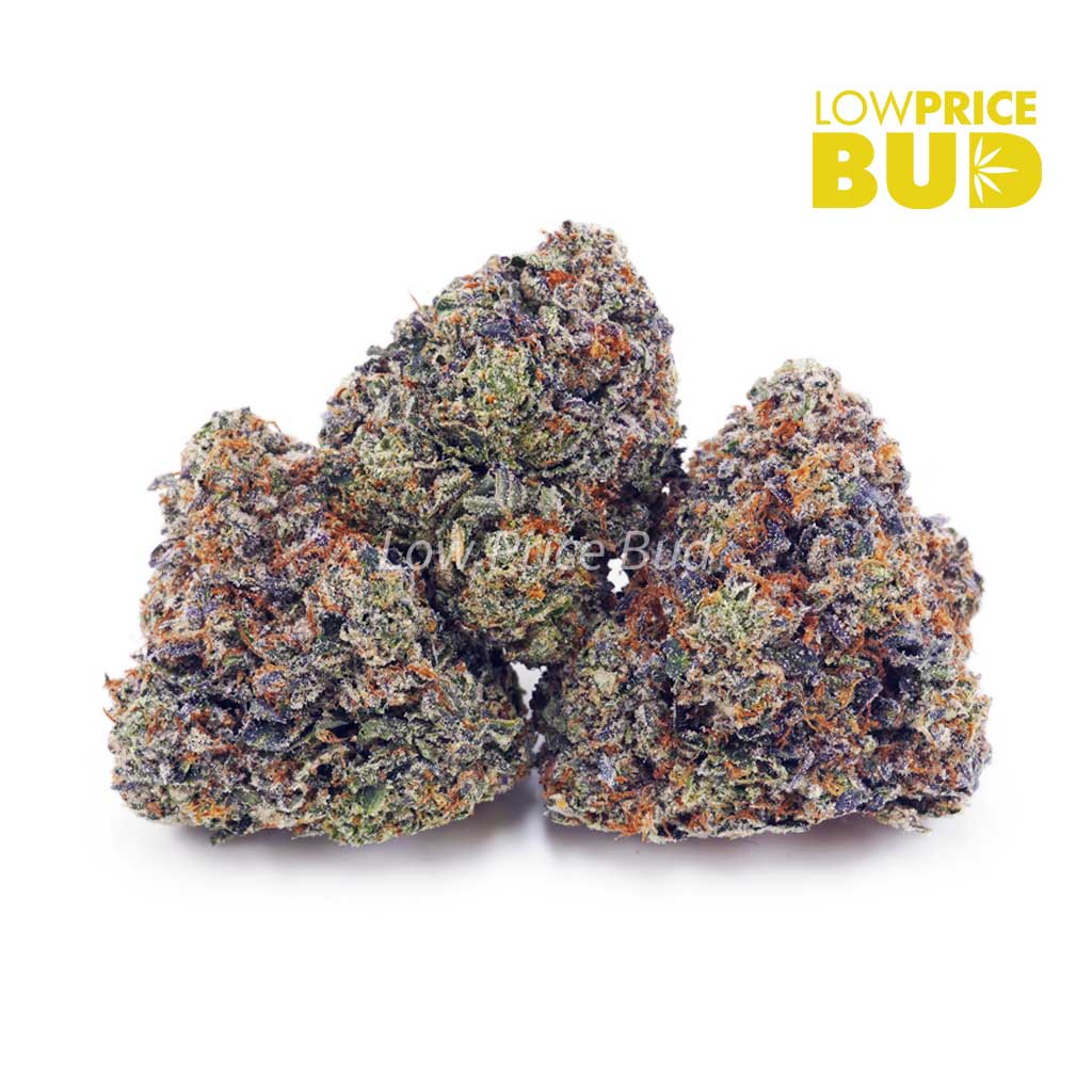 Rainbow Runtz (AAA) Buy Rainbow Runtz (AAA) online Canada