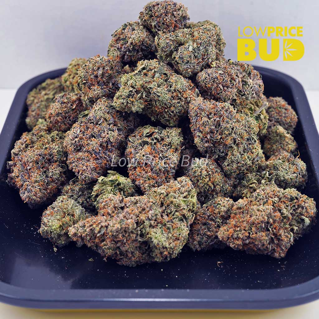 Rainbow Runtz (AAA) Buy Rainbow Runtz (AAA) online Canada