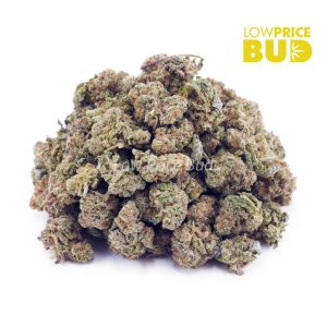 Buy Rainbow Runtz (AAA) online Canada