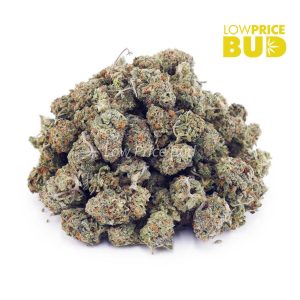 Buy Alien OG (AAAA) – Popcorn Nugs online Canada
