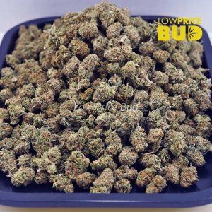 Alien OG (AAAA) – Popcorn Nugs Buy Alien OG (AAAA) – Popcorn Nugs online Canada